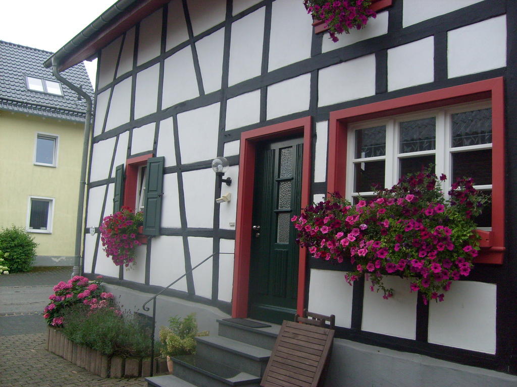 Ferienwohnung Duerbaum شليدن الغرفة الصورة