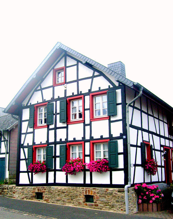 Ferienwohnung Duerbaum شليدن الغرفة الصورة